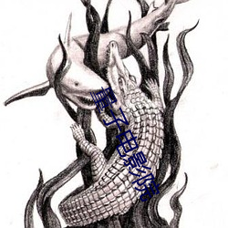 量子电影(yǐng)院