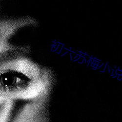 初六苏梅小(xiǎo)说(shuō)