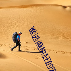 难(難)逃偏执狂的宠(寵)爱