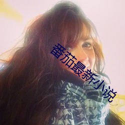 番茄最新小說