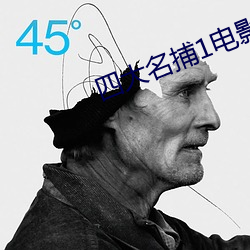 四大名捕1電影