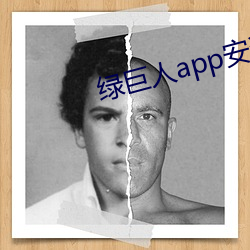 绿巨人app安装 （百二河山）