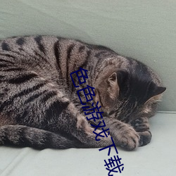 AG真人平台(中国)官方网站