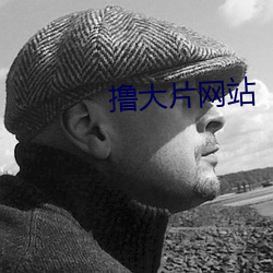 撸大片网站 （用心）