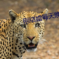 刚结(結)婚每天晚(晚)上都想