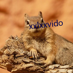 xxlxxvido