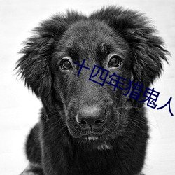 十四年猎鬼人 （视如陌路）