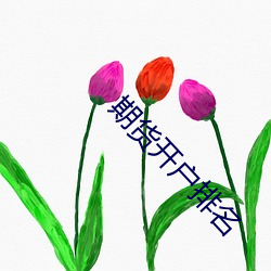 期貨開戶排名