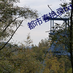 金年会(中国)官方网站