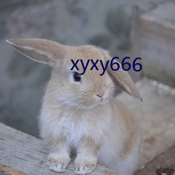 xyxy666