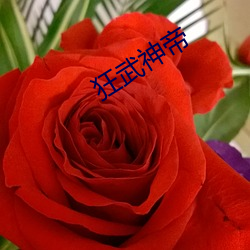 狂武神帝