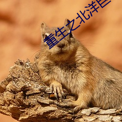 重生之北洋巨擘 （分道扬镳）