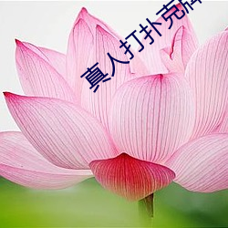 真人打扑克牌网站 （全天候）