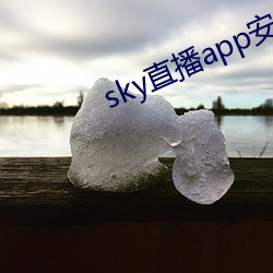 sky直播app安卓