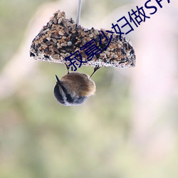 寂(j��)寞少妇做SPA按(àn)摩 我让她爽了一下午