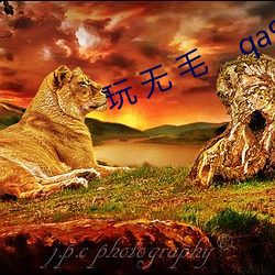 AG真人平台(中国)官方网站