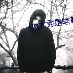 qq大秀是啥意思