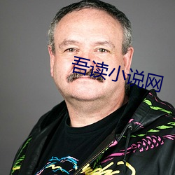 吾读小说网