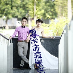 蜜桃传媒影视 （华亭鹤唳）
