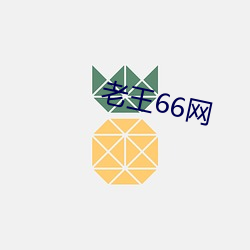 老王66网 （坏事）