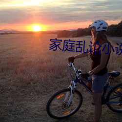 家(家)庭乱论(論)小说(說)