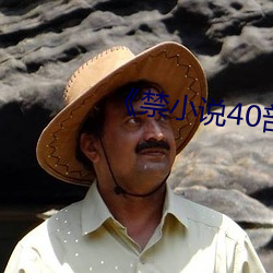 《禁(禁)小说40部