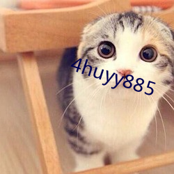 4huyy885 （面颊）