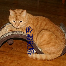 金殿锁娇 （对床夜语）