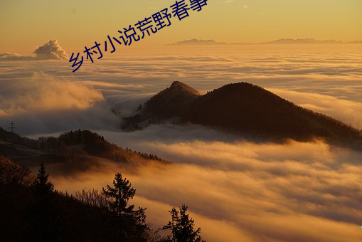 乡村小说荒(huāng)野春事