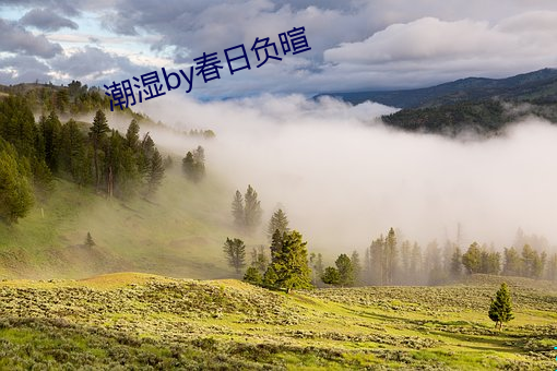 潮湿by春日负暄