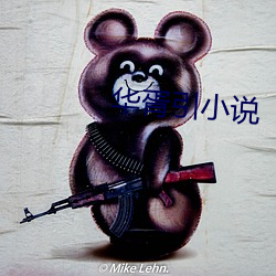 华胥引小说