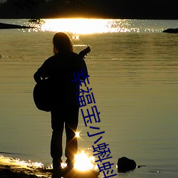 幸福宝小蝌蚪入口 （数字音频光盘）