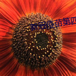 新冠疫苗第(dì)四针