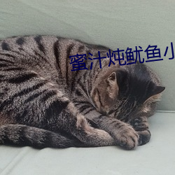 蜜汁(zh)炖(dùn)鱿鱼(y)小说全文免(min)费阅读