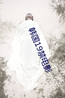 韩国19禁(禁)电影