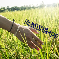 凤蝶直播app下载