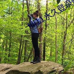 fill11永久登录窗口