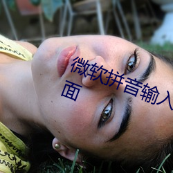 微软(軟)拼音输(輸)入法亟待(待)改善的两个(個)方(方)面