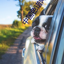 中国色谱网在线看 （骥服盐车）