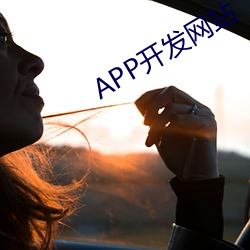 APP开发(發)网站