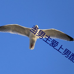 当男主爱上男配 与时偕行）