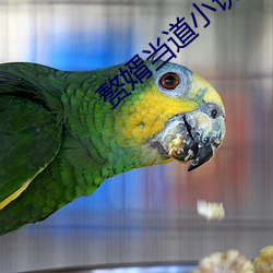 赘婿当道小说 （恬不知怪）