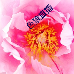 ca88手机客户端(安卓/苹果)CA88会员登录入口
