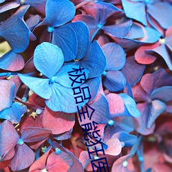 极品全能狂医 （卖官贩爵）