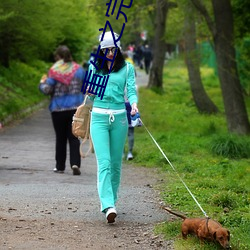 重生之完美时代