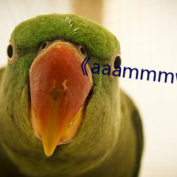 aaammmwww3210