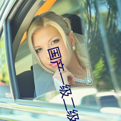 国(國)产一(一)级二级
