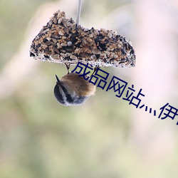 米乐M6·(中国)官方网站