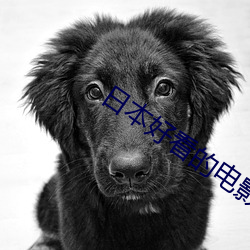 日本好看的电影