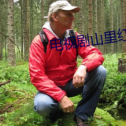 電視劇山裏紅